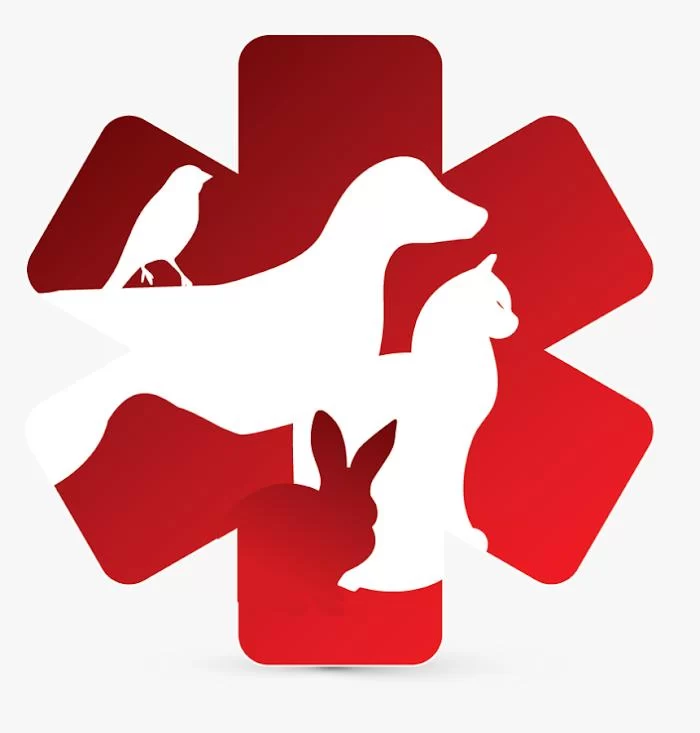 Bild Animal Hospital 12