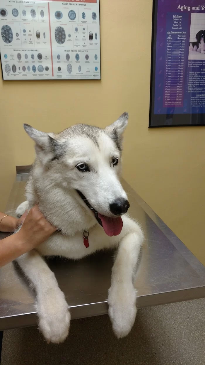 Southwest Animal Hospital 12