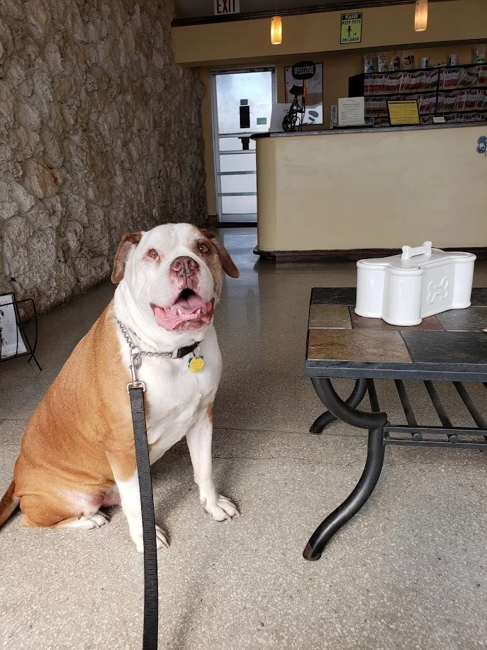 Southwest Animal Hospital 12