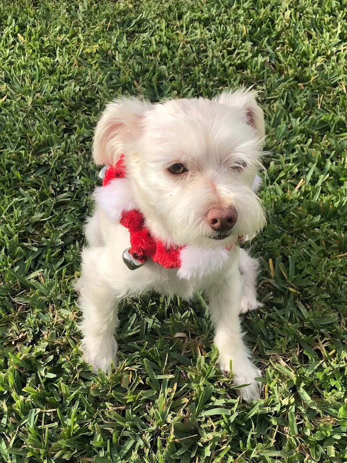 Southwest Animal Hospital 12