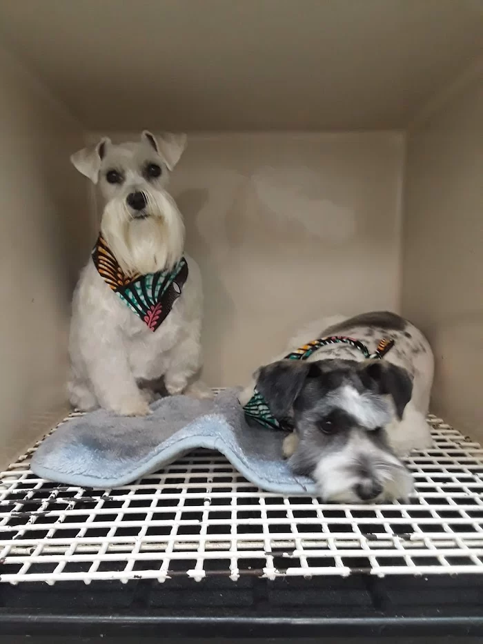 Pet Parade Animal Clinic 12
