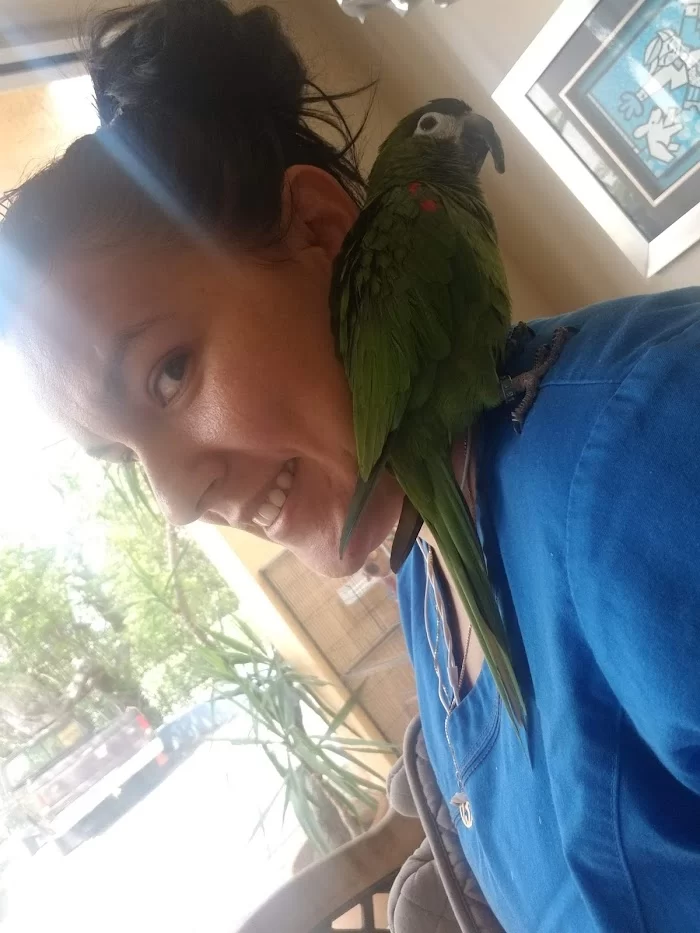 Island Veterinary Hospital 7