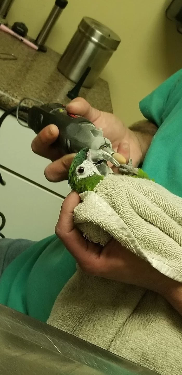 Island Veterinary Hospital 10