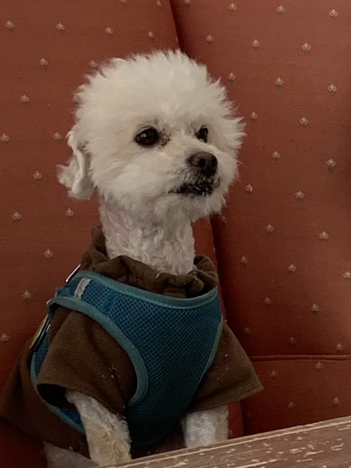 Banfield Pet Hospital 12