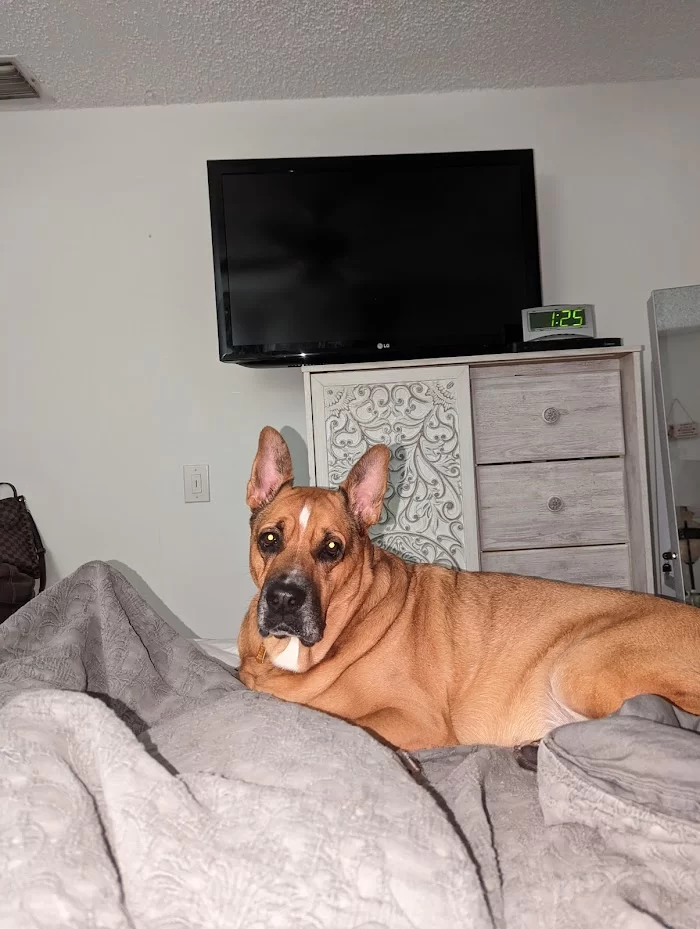 Banfield Pet Hospital 12
