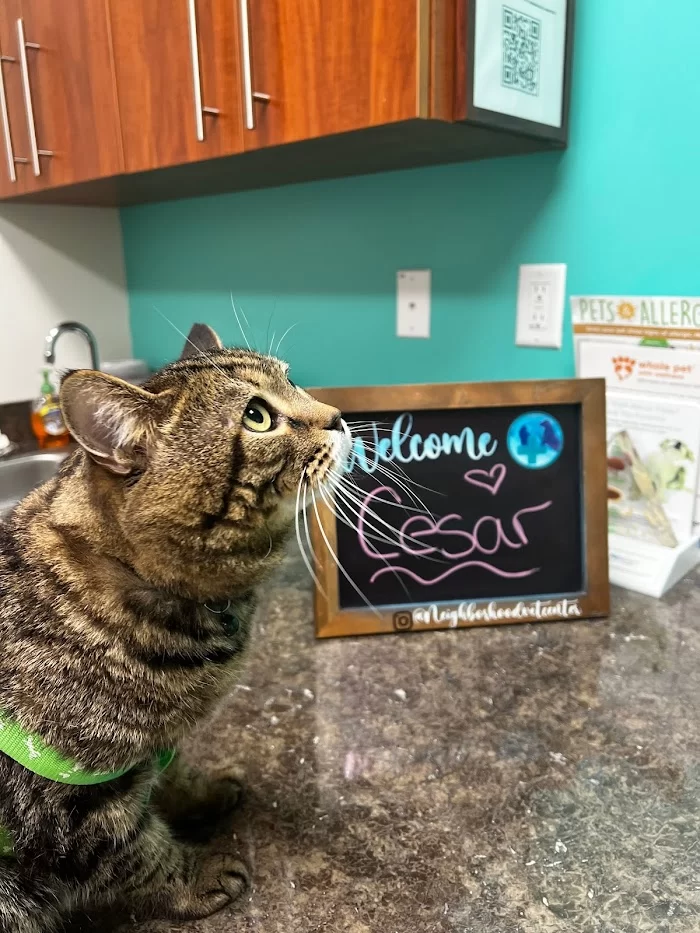 Neighborhood Veterinary Center 12