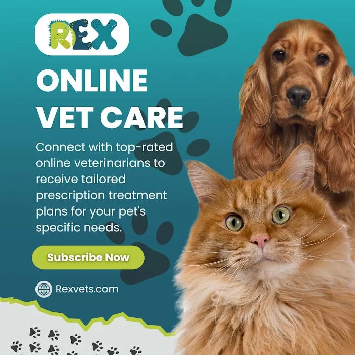 Rex Vets 12