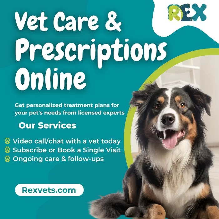 Rex Vets 12