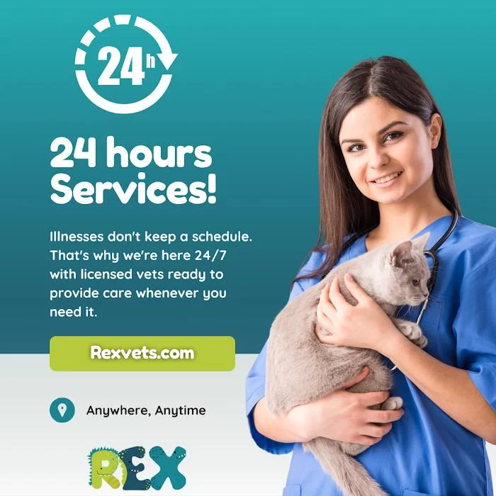 Rex Vets 12