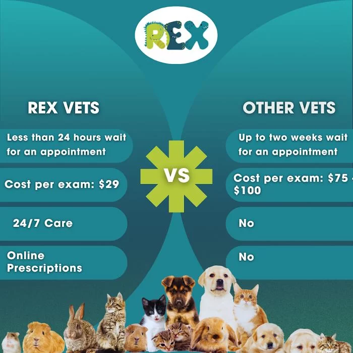 Rex Vets 12