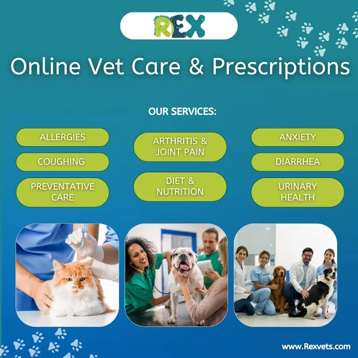 Rex Vets 12
