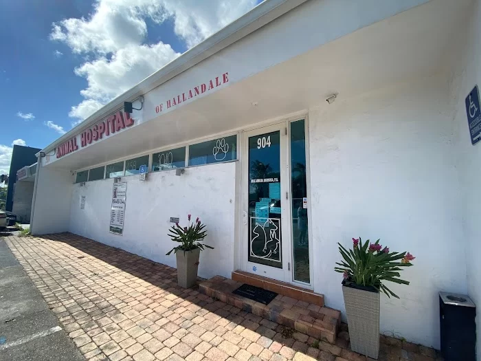 Animal Hospital of Hallandale 12