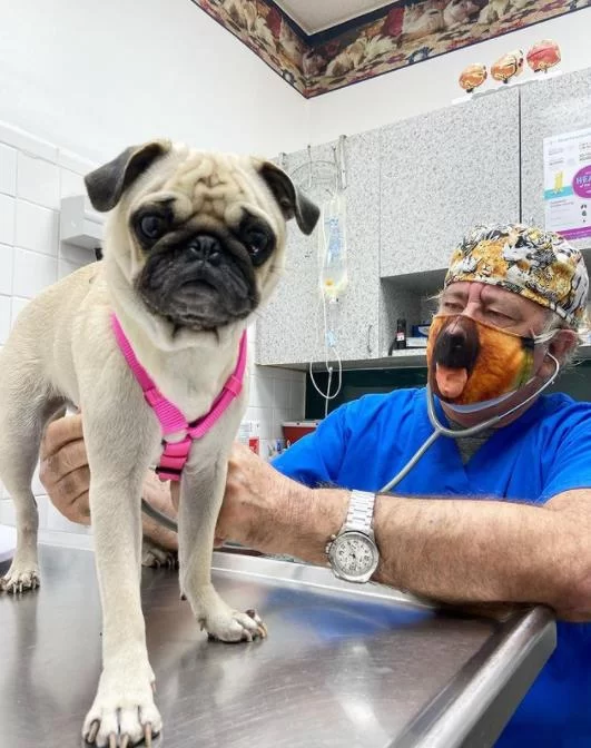 Animal Hospital of Hallandale 12