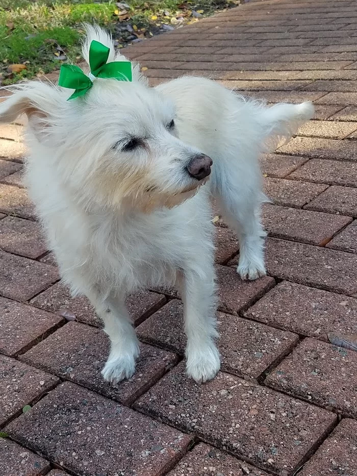 Banfield Pet Hospital 12