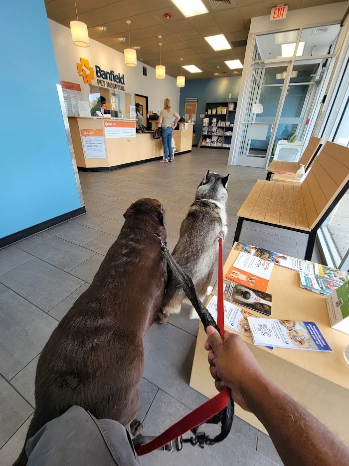Banfield Pet Hospital 12