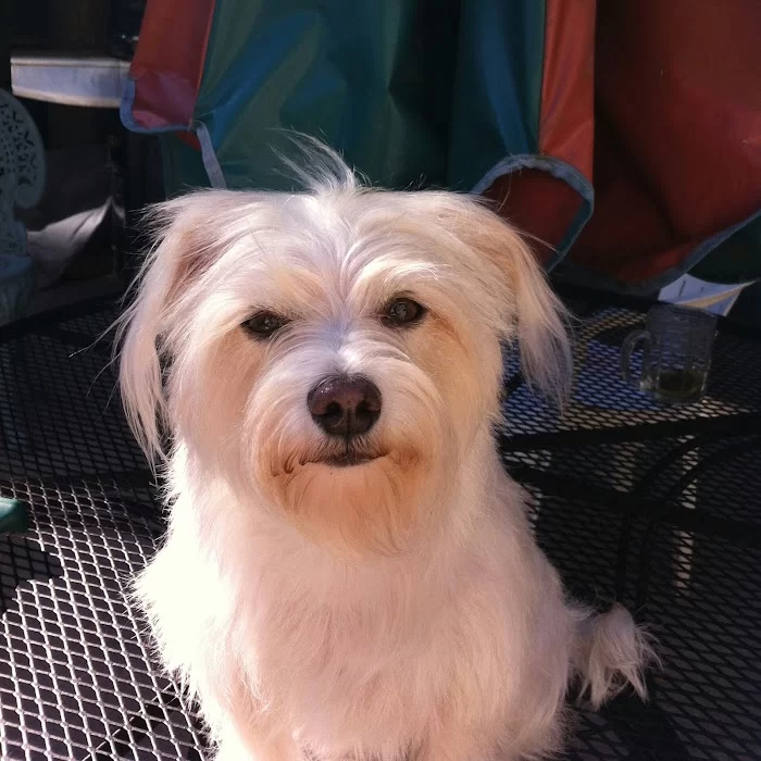 Banfield Pet Hospital 12