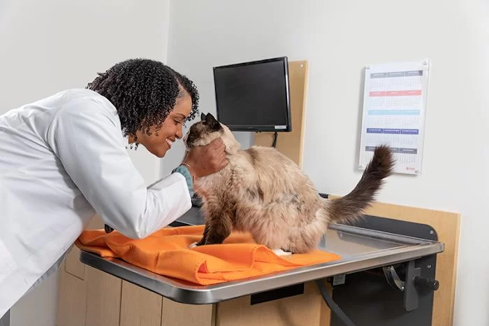 Banfield Pet Hospital 12