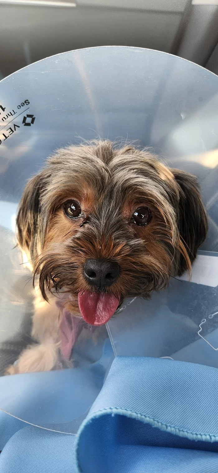 Banfield Pet Hospital 12
