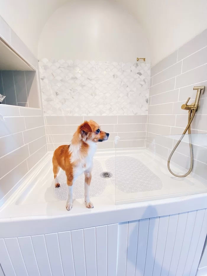 Aloha Pet Resort 12