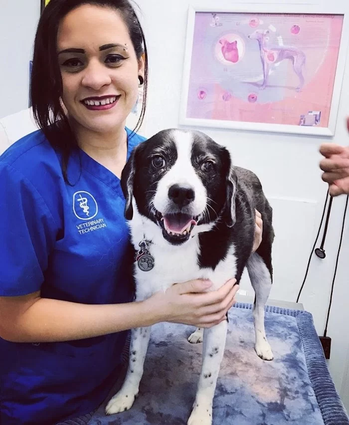 Kind Animal Hospital 12