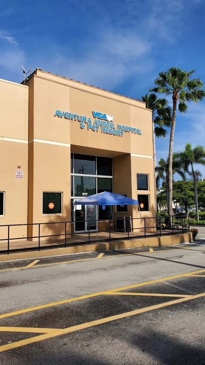 VCA Aventura Animal Hospital & Pet Resort 12