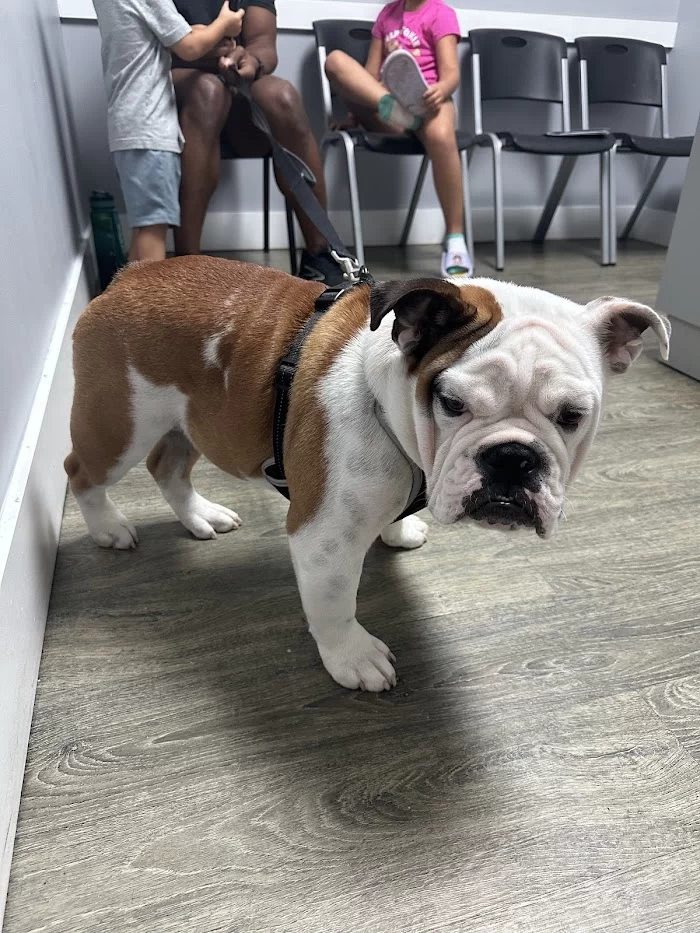 Quality Care Animal Hospital 12