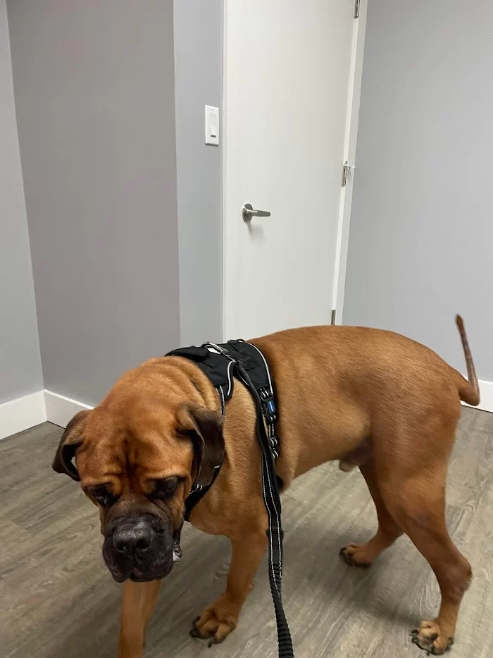 Quality Care Animal Hospital 12