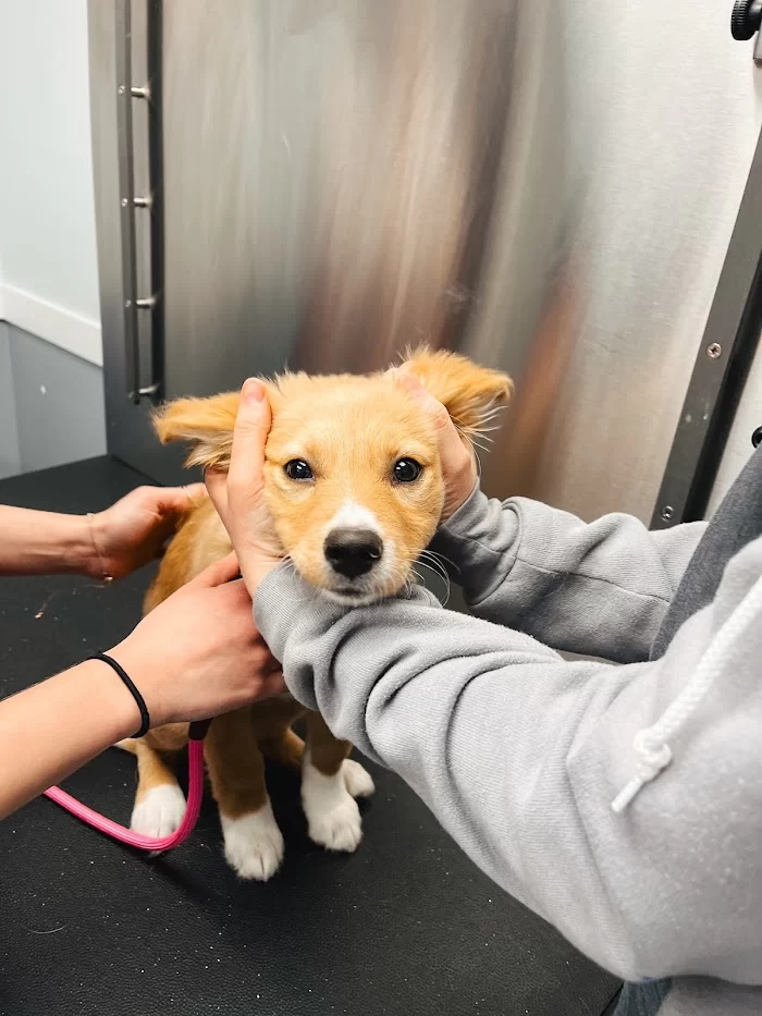 Sky Lake Animal Hospital 12