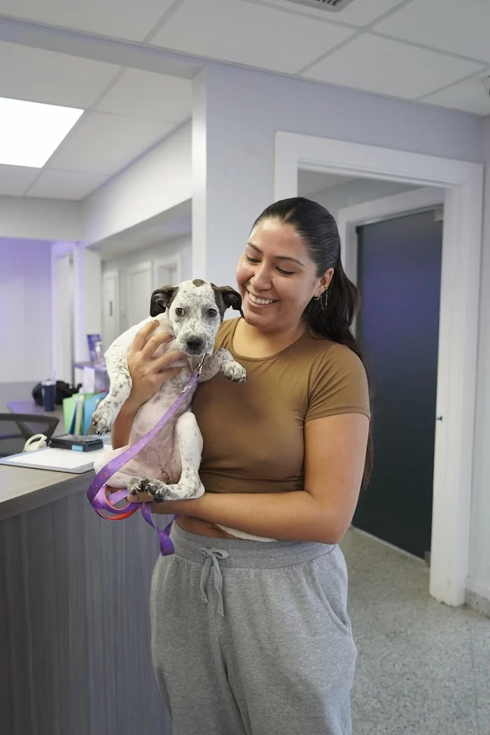Sky Lake Animal Hospital 12