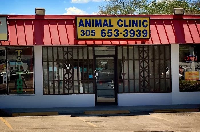 Animal Clinic: Kojman Olivia DVM 12