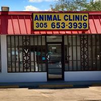 Animal Clinic: Kojman Olivia DVM ico
