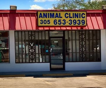 Animal Clinic: Kojman Olivia DVM