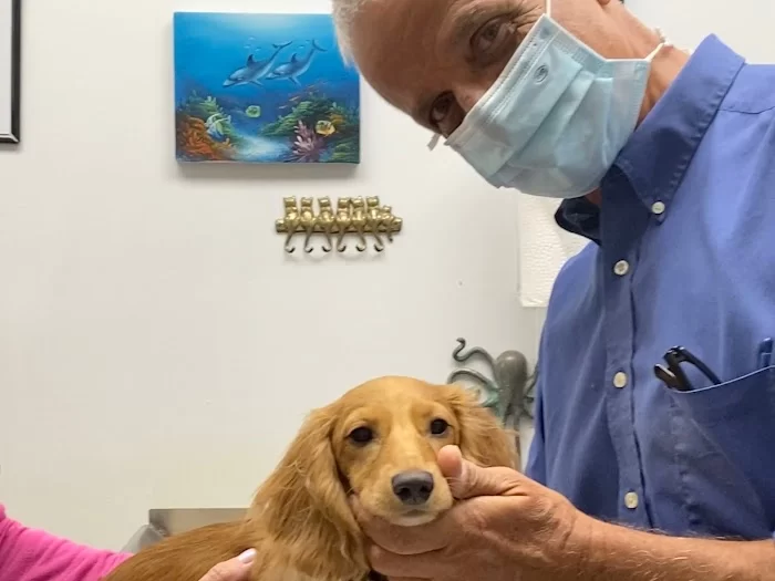 Animal Clinic of Ives Dairy Road 12