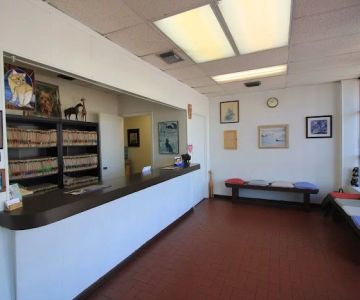 Animal Clinic of Ives Dairy Road