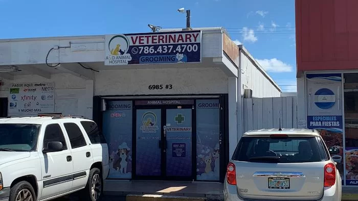 Twins Animal Hospital 12