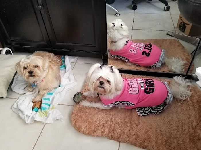 Lopez Animal Clinic 12