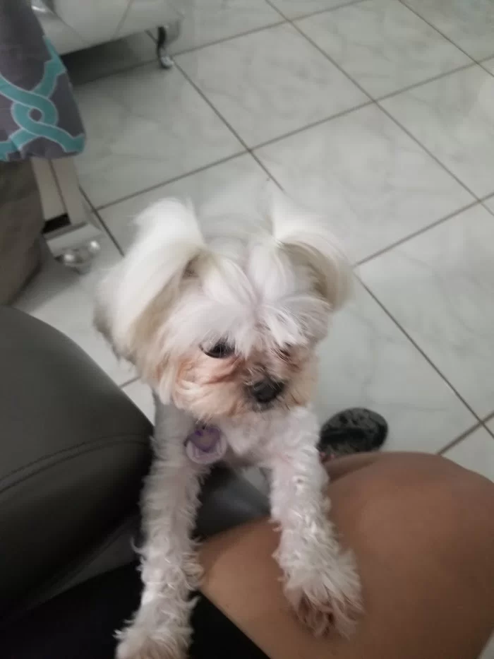 Lopez Animal Clinic 12