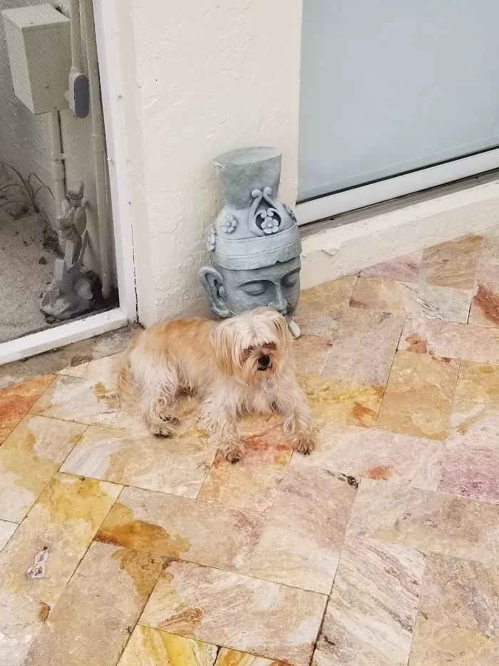Lopez Animal Clinic 12
