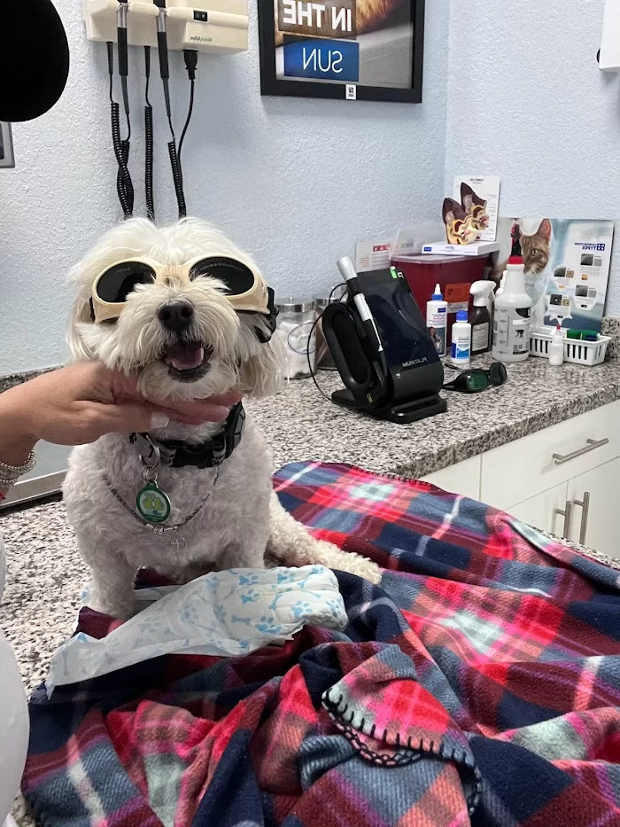 Lopez Animal Clinic 12