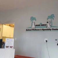 Miami Beach Animal Wellness and Specialty Center ico