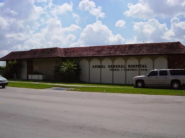 Animal General Hospital Miami 3