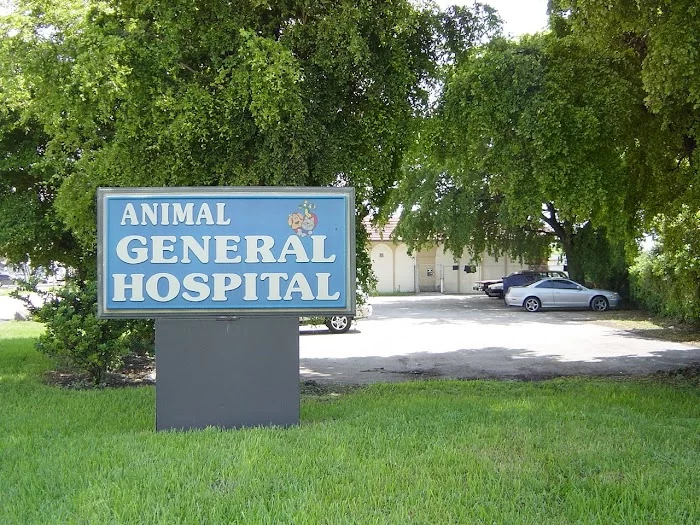 Animal General Hospital Miami 5