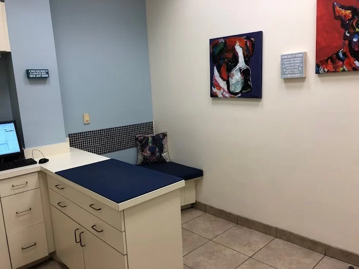 VCA Alton Road Animal Hospital 12