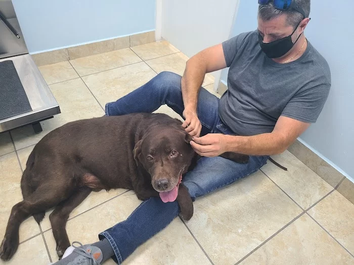 Palmetto Animal Clinic 12