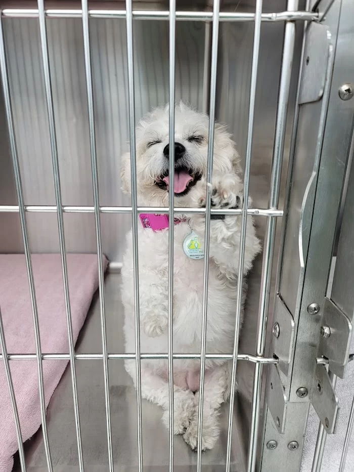Palmetto Animal Clinic 12