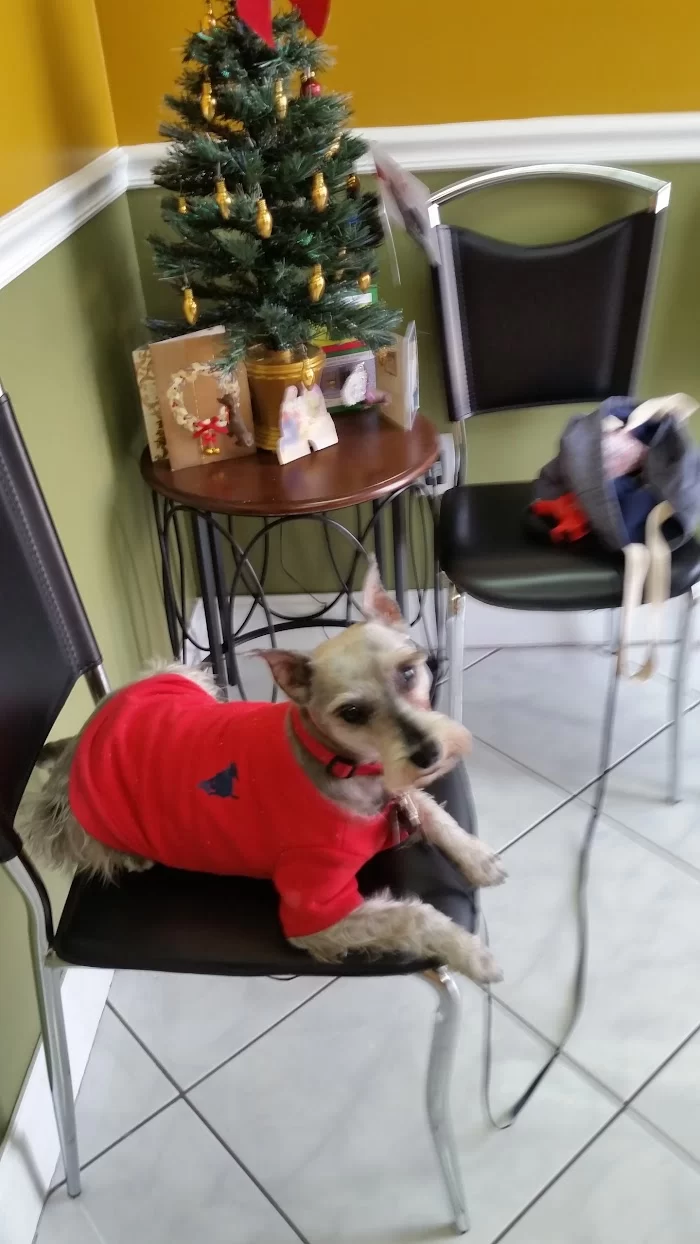 Animal Clinic 8 & 43 10