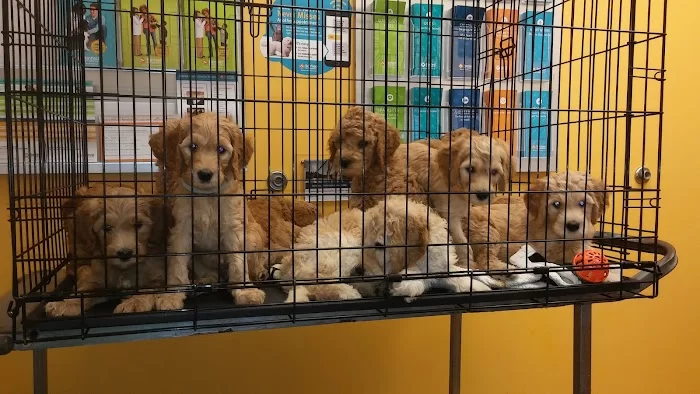 Banfield Pet Hospital 5