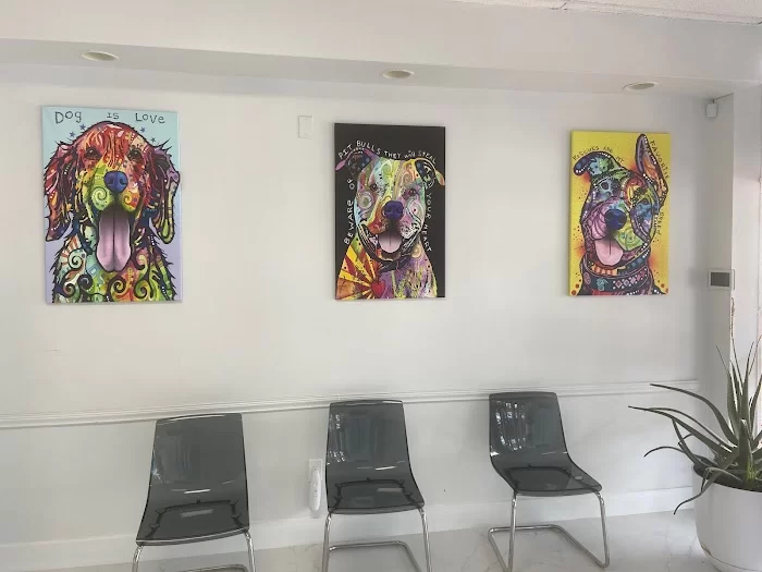 Doral Welfare Animal Hospital 2