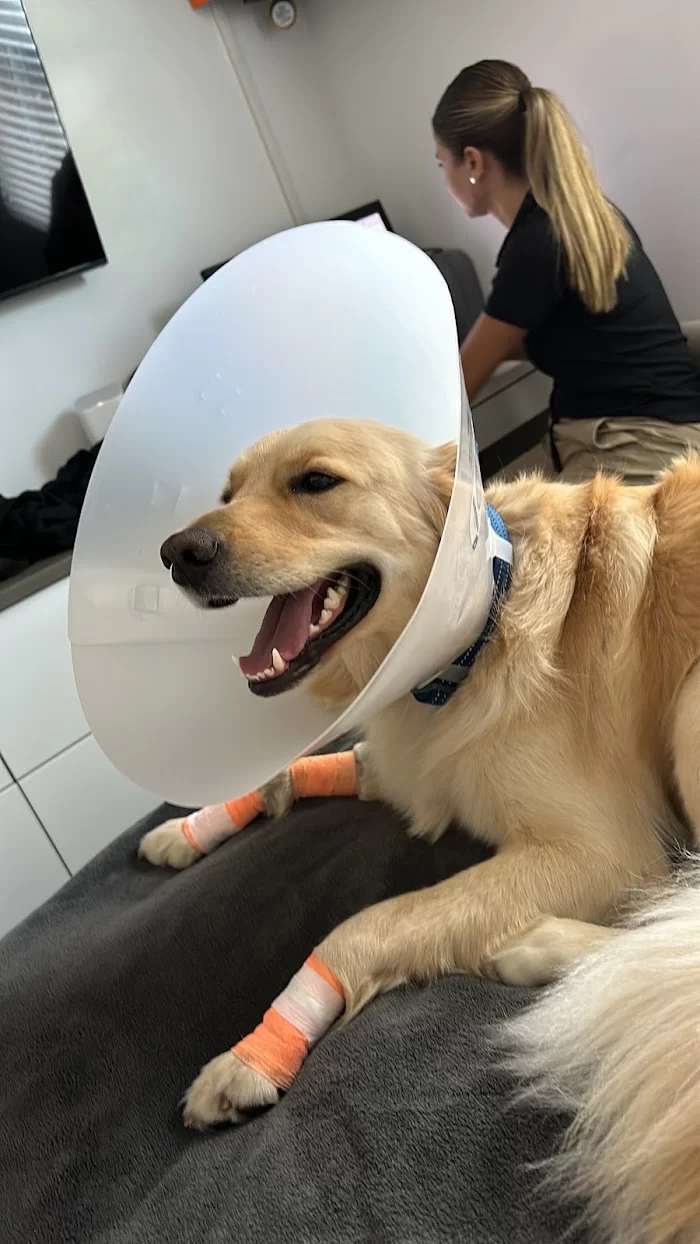 Doral Welfare Animal Hospital 7