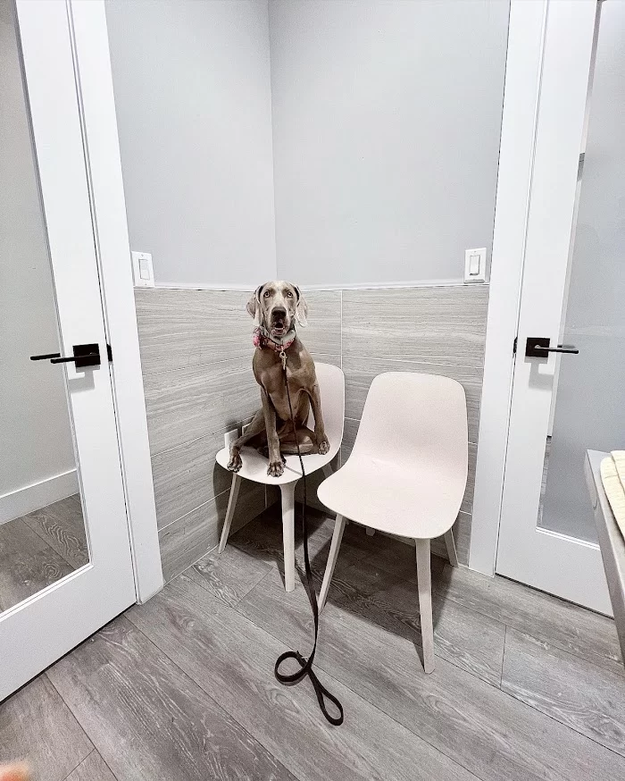 Gables Animal Clinic 12